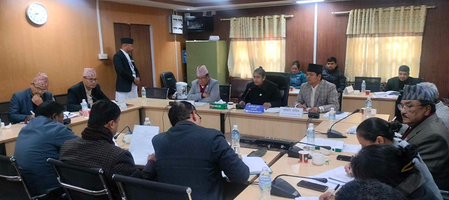 सङ्क्रमणकालीन न्यायसम्बन्धी विधेयक छिटो टुंगाे लगाउन माग