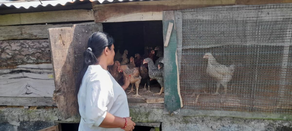 कृषि फार्मबाट वार्षिक १२ लाख आम्दानी