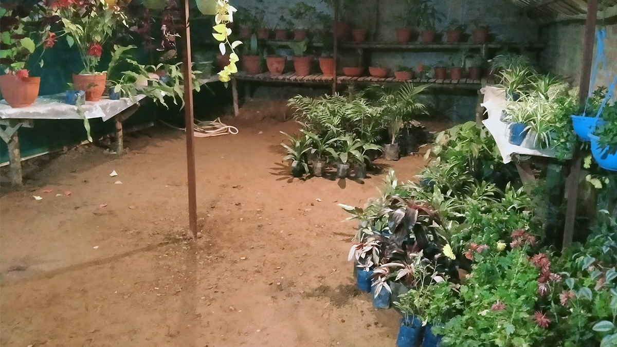 मालीबाट मालिक बनेकी सनसरी सार्की 