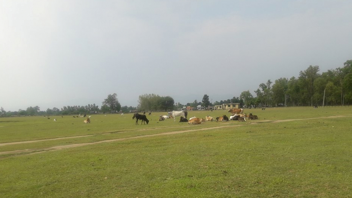 मझगाउँ विमानस्थलको पुनः निर्माण सुरु