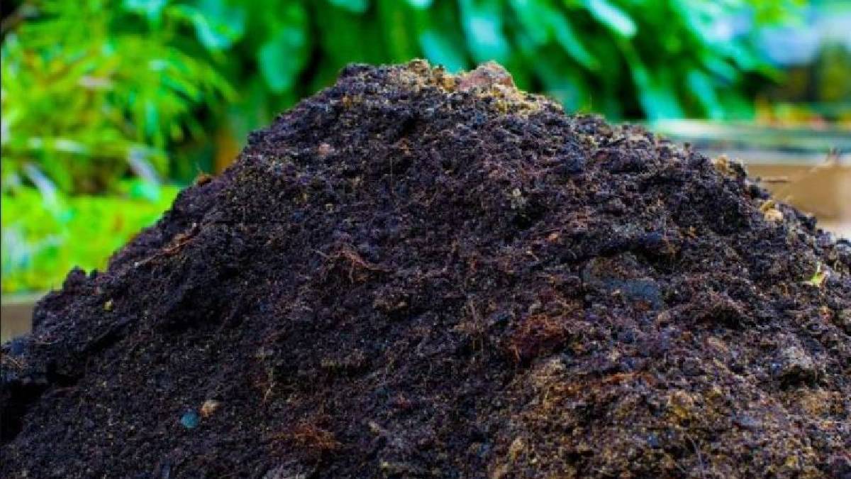 काठमाडौँ महानगरले विस्तार गर्यो कम्पोष्ट मल बनाउने कार्य