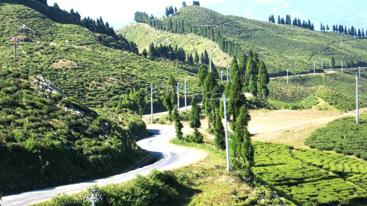 यातायात नचल्दा यात्रु समस्यामा