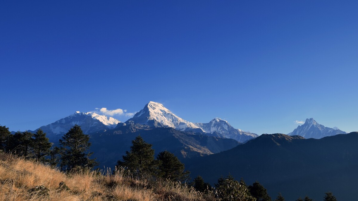 ‘सेताम्मे हिमाल कालो देखिन थाले’