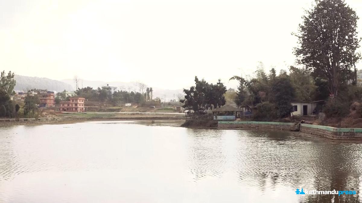 बेवारिसे बन्यो नागदह, जान छाडे पर्यटक