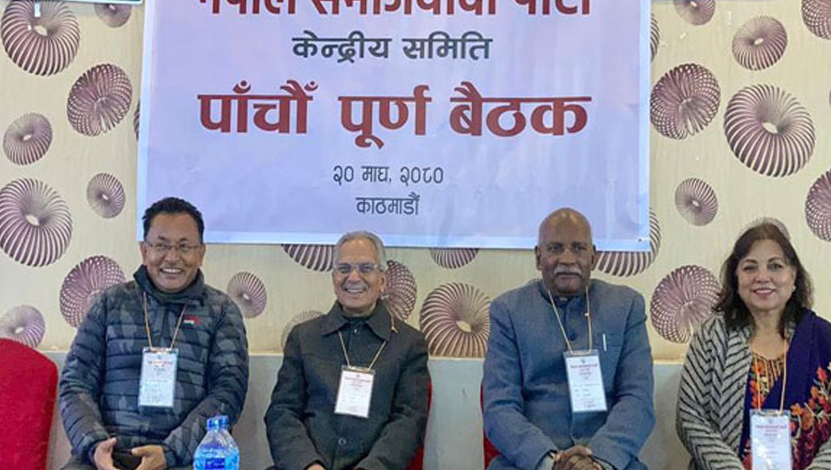 नेसपा बैठकको निर्णय : प्रत्यक्ष निर्वाचित राष्ट्रपति र पूर्ण समानुपातिक निर्वाचन प्रणाली