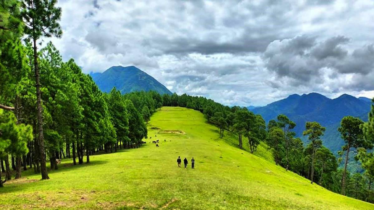 पर्यटनबाट समृद्धि खोज्दै निसीखोला