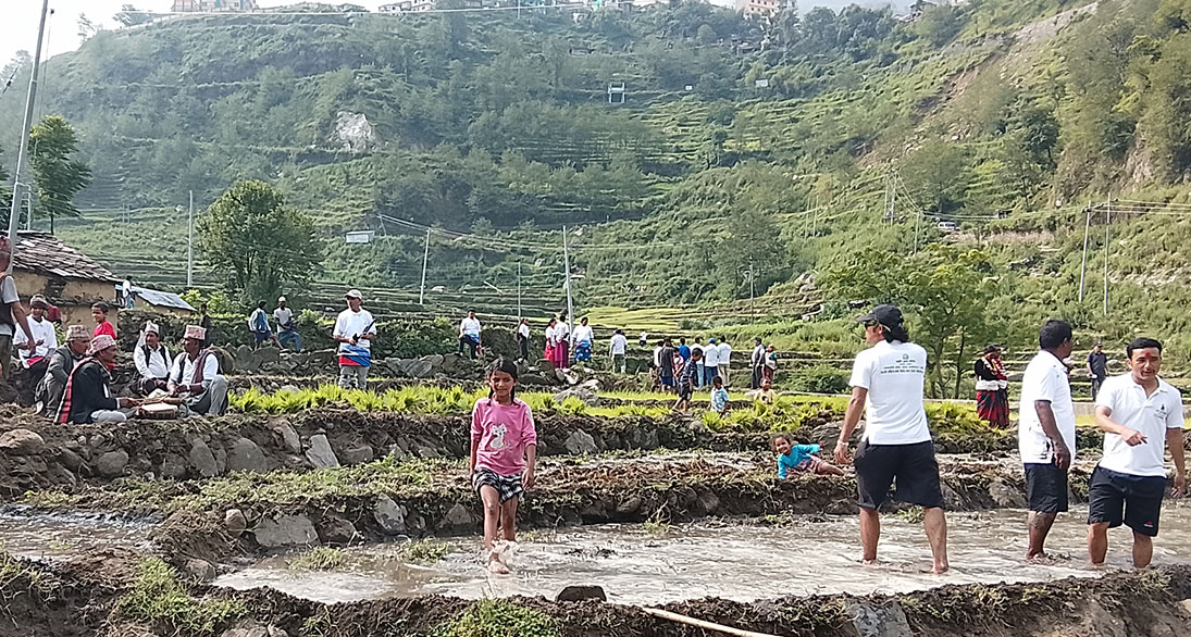 photo-14_5c1e6fb5-1782735160.jpeg