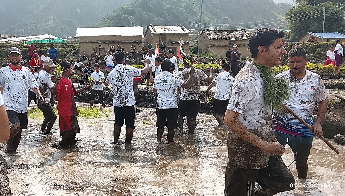 photo-23_a5d13ef2-1782735168.jpeg