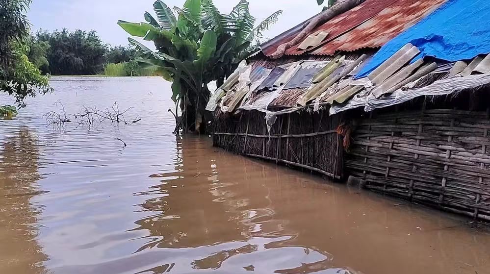 सप्तरीमा बाढीबाट ५ सय घर डुबानमा, दुई हजारभन्दा बढी प्रभावित
