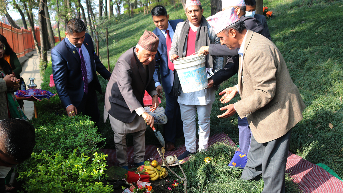 वनकालीमा राष्ट्रपतिले राेपे नागचम्पाको बिरुवा