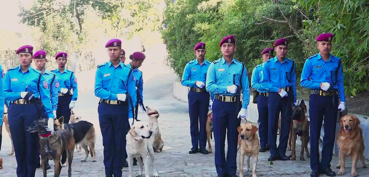 तालिम केन्द्रमा रहेका कुकुरको पूजा र प्रदर्शनी (तस्बिरहरू)