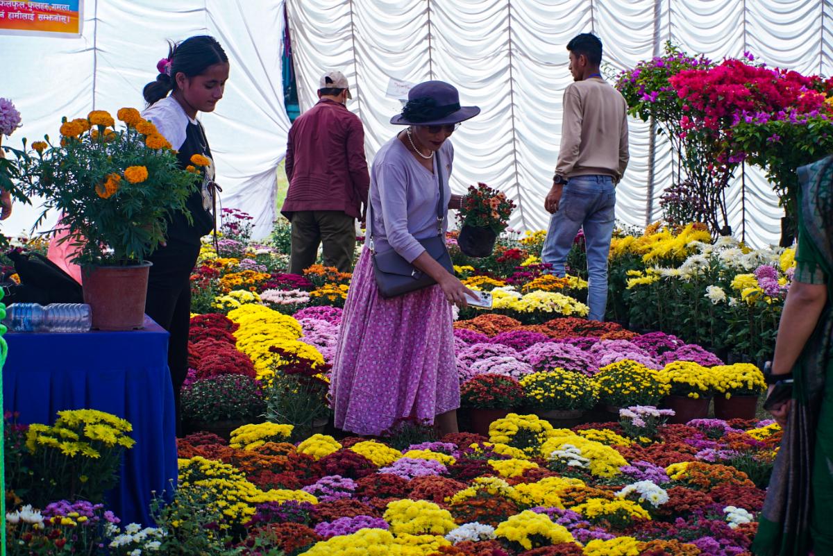 पुष्प मेलामा थरिथरिका फूल (फोटो फिचर)