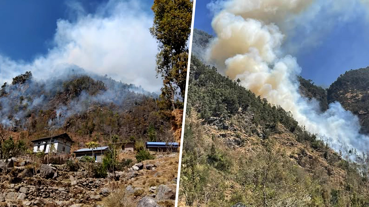 शैलुङको जङ्गलमा लागेको आगो नियन्त्रण बाहिर 