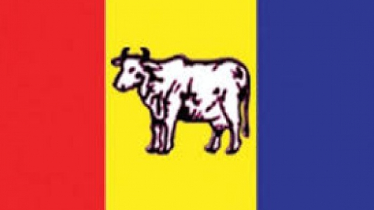 राप्रपाको केन्द्रीय समिति बैठक आजबाट