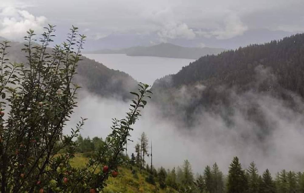 rara31677904055.jpg