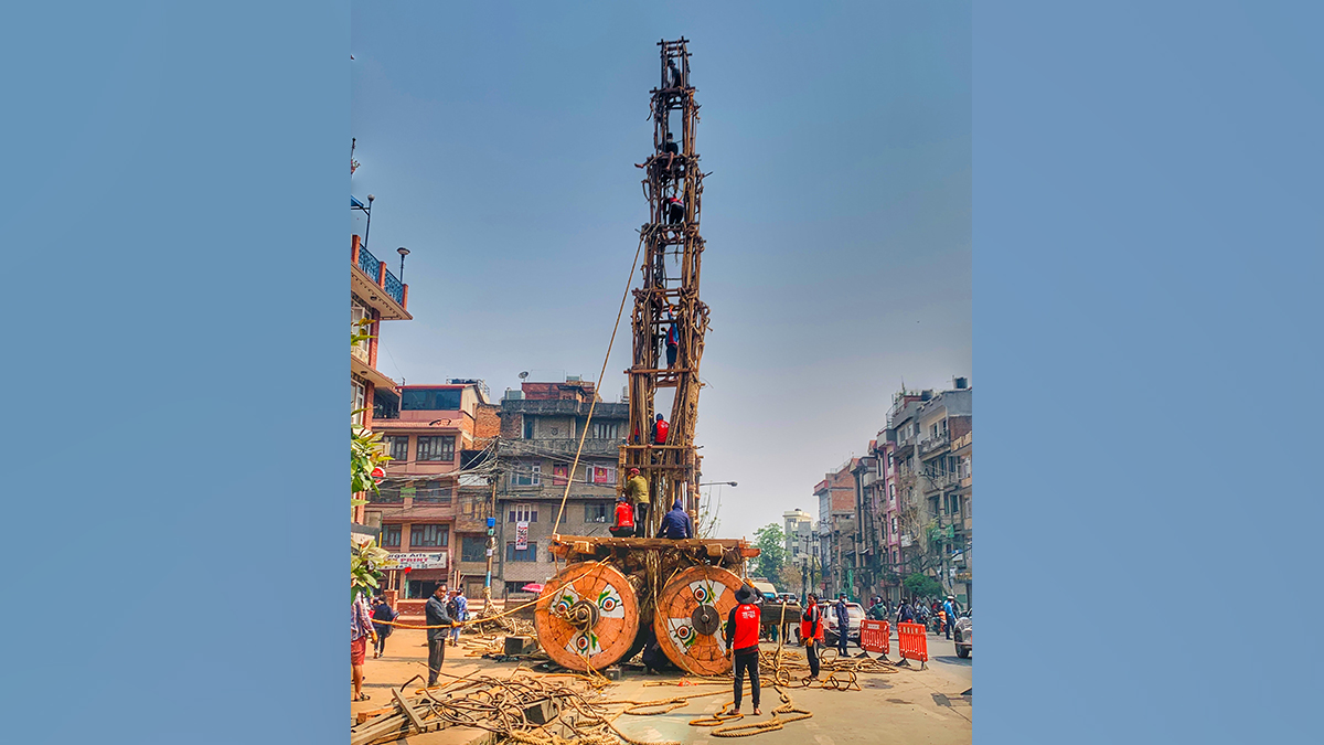 ललितपुरको पुल्चोकमा रातो मच्छिन्द्रनाथको रथ बनाइँदै