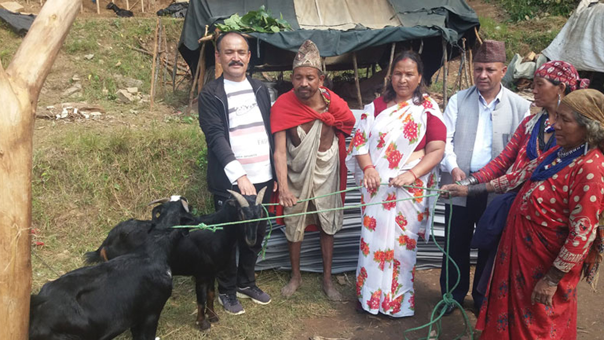 राउटेलाई लाग्यो दसैं