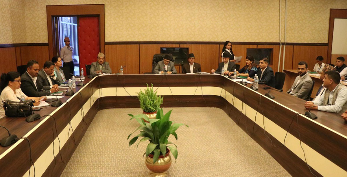 सहकारीका महिला सञ्चालकहरूसँग छानविन समितिको छलफल