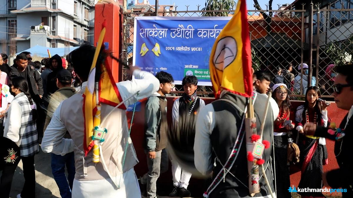 sakela-(3)-ink-1734266527.jpeg