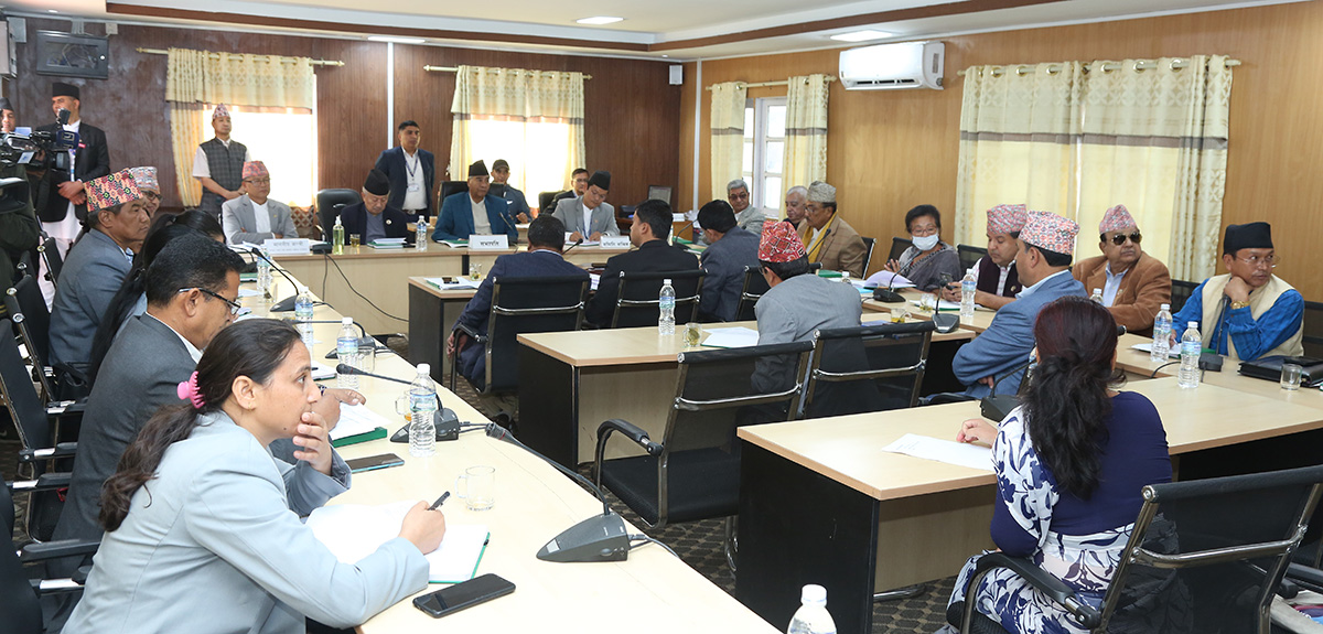 उद्योग समितिमा दुई जनाकाे उम्मेदवारी, अन्य समितिमा कुन दलबाट कसले दिए उम्मेदवारी?