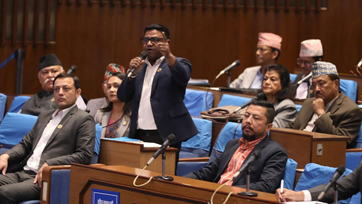 विवेकलाई बन्दी नबनाऔं, सांसद आफैंमा सार्वभौम हो : सांसद परियार