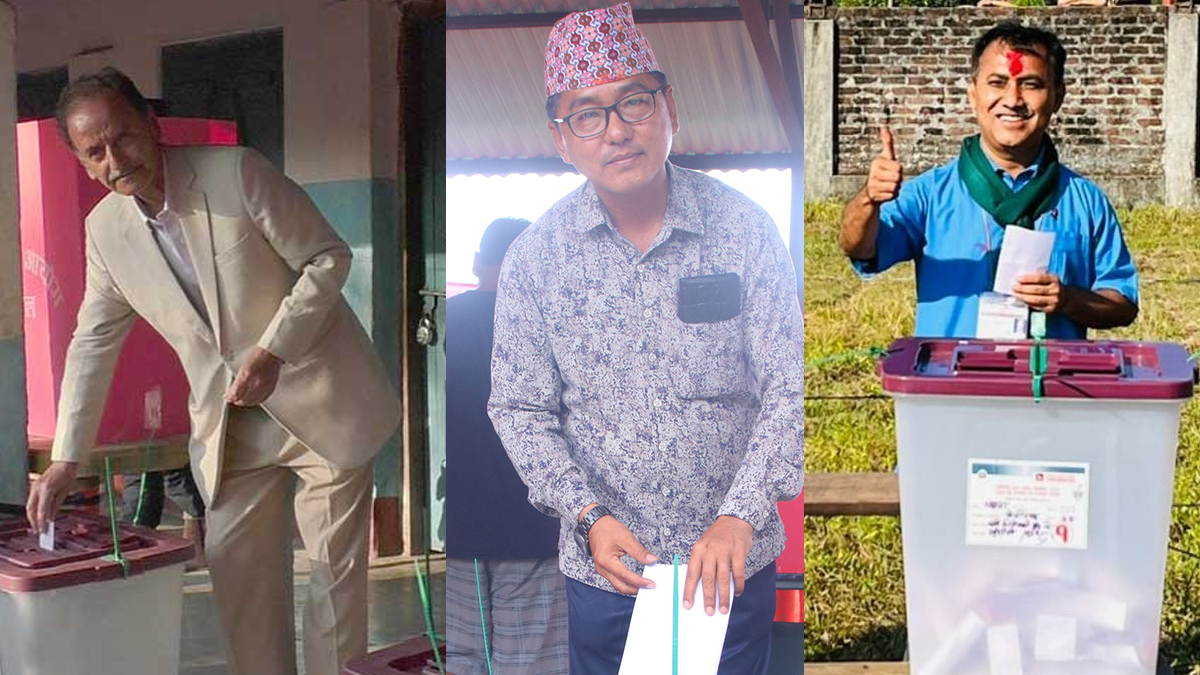 झापामा सिटौला, शर्मा र लिङ्देनद्वारा मतदान