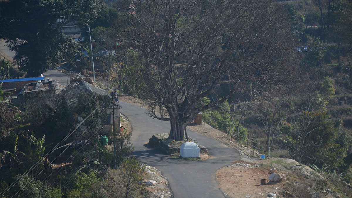 किन सुस्तायो भाइरल तनहुँसुर ? 