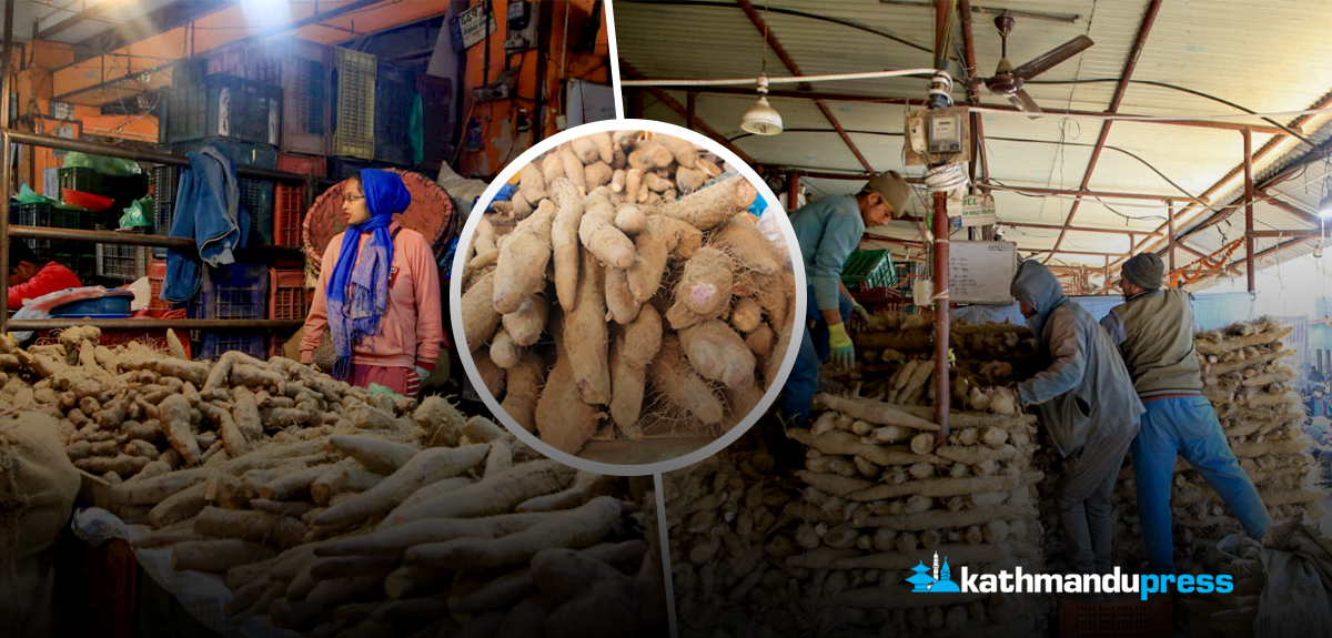 कालीमाटीमा तरुलको व्यापार [तस्बिरहरू]