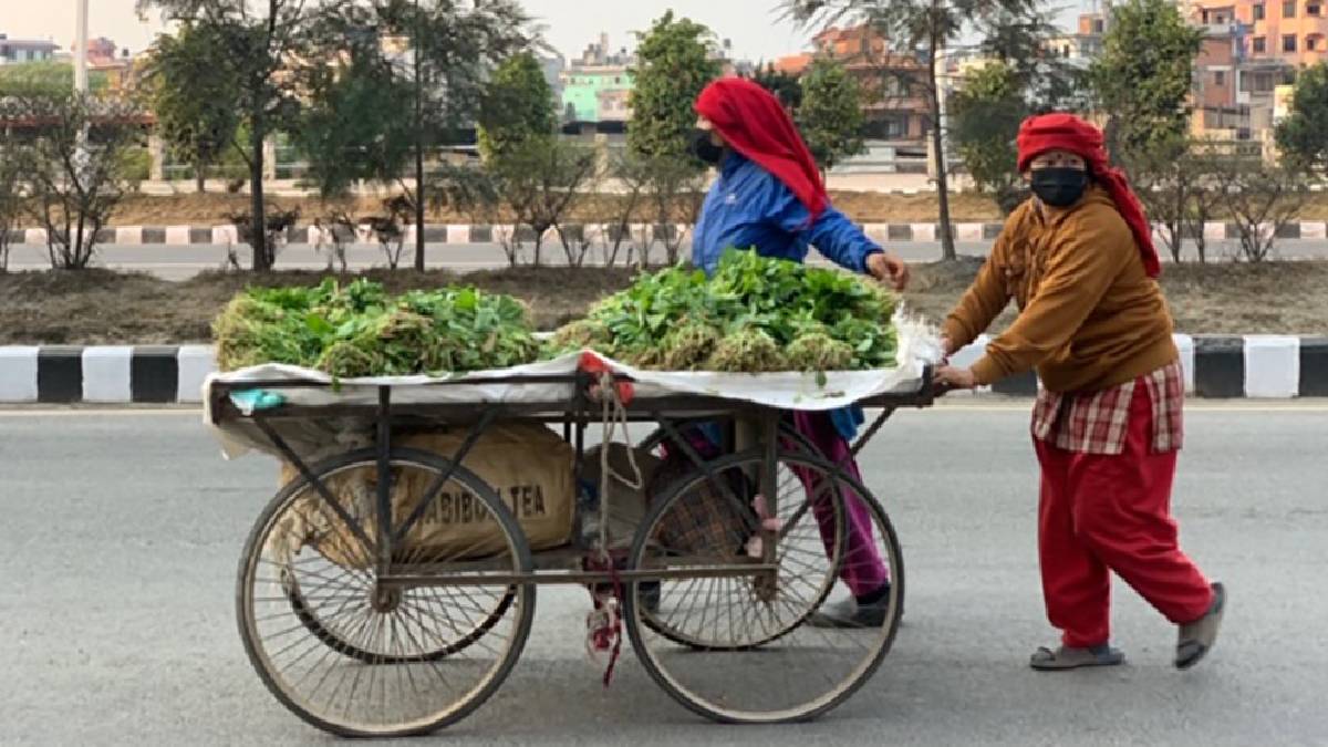 काठमाडाैं महानगरमा साइकल र ठेलागाढामा व्यापार गर्न नपाइने