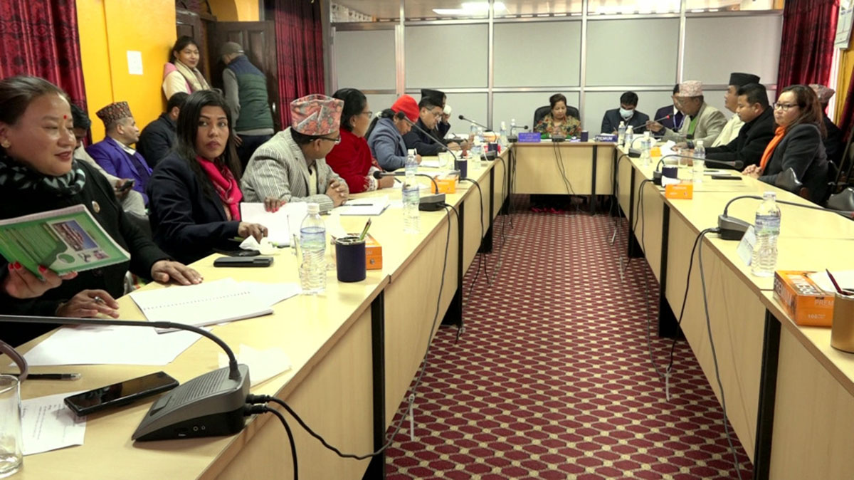 सहकारी क्षेत्रलाई नै संकटग्रस्त घोषणा गर्न सरकारलाई संसदीय समितिको निर्देशन