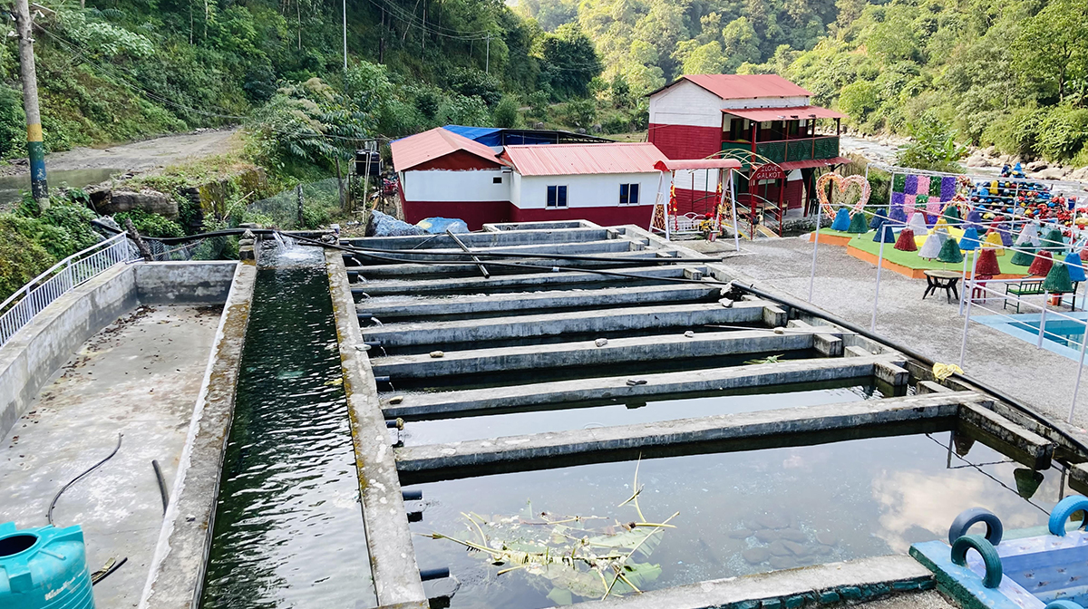 एग्रो रिसोर्ट आन्तरिक पर्यटकको रोजाइमा