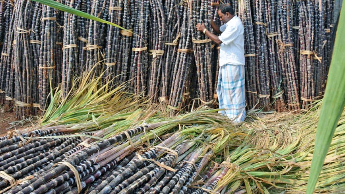 ‘उखु किसानको पलायन रोक्न सक्नुपर्छ’