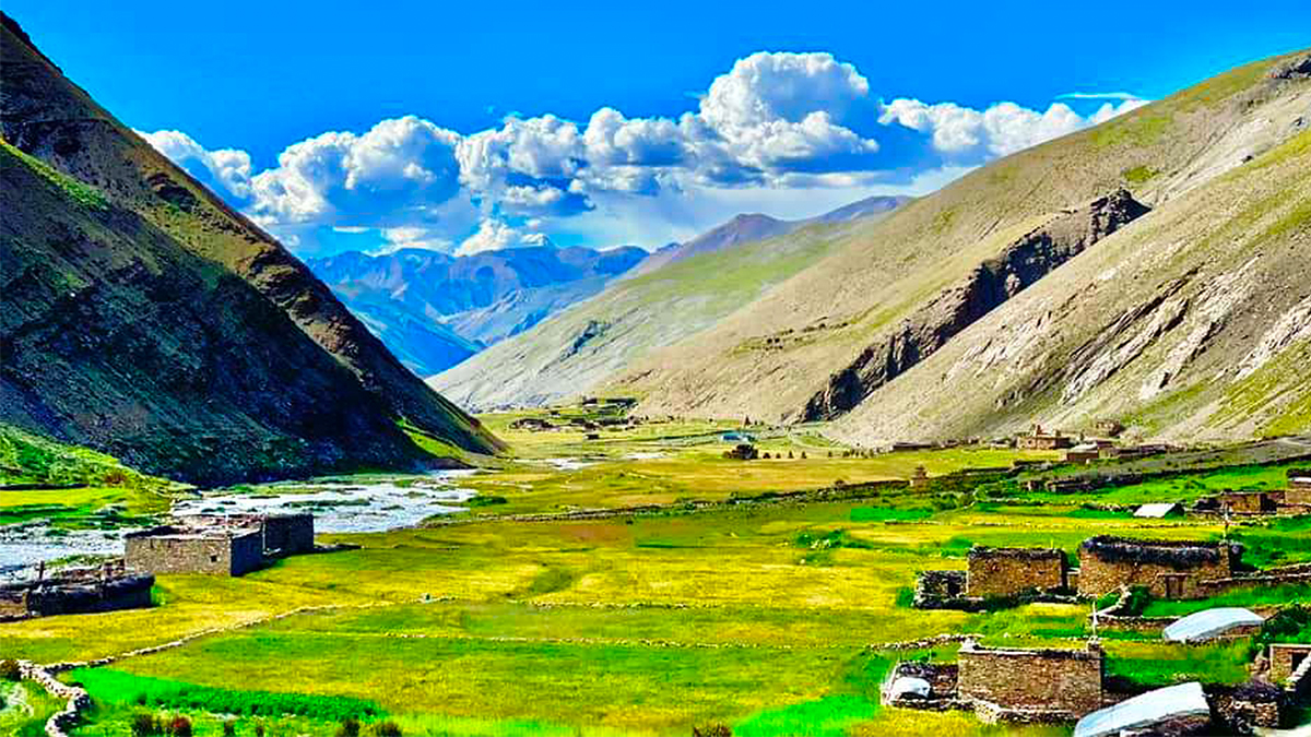 पाक्दै गरेको उवावाली