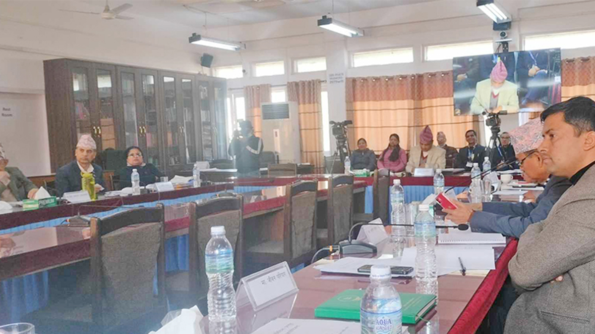 राजदूतविरुद्धको उजुरीकर्तासँग समितिमा छलफल