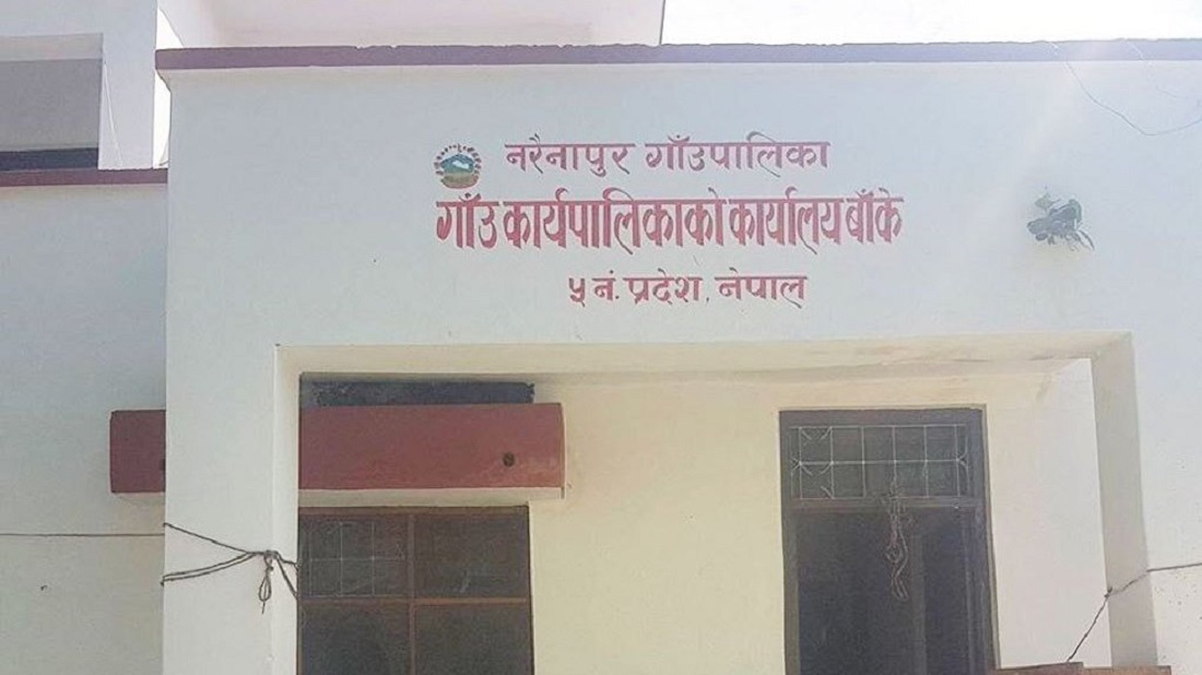 गौ हत्या गर्नेलाई पालिकाका सबै सेवा निषेध