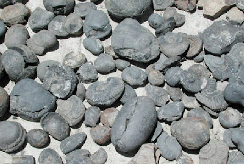 अयोध्या लैजान कालीगण्डकीको शिलाको नापजाँच